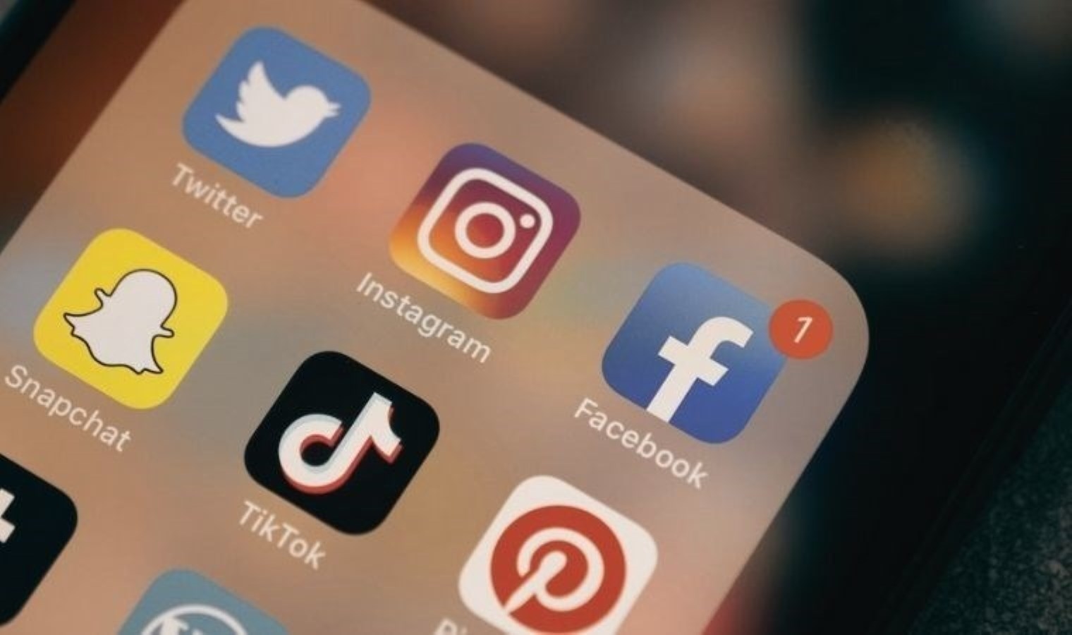 Welche Social-Media-Plattform hat in der Türkei die meisten Nutzer?