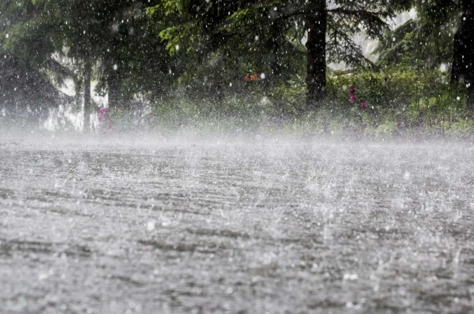 District Aveiro in gele waarschuwing vanwege hevige regenval, hagel en onweersbuien