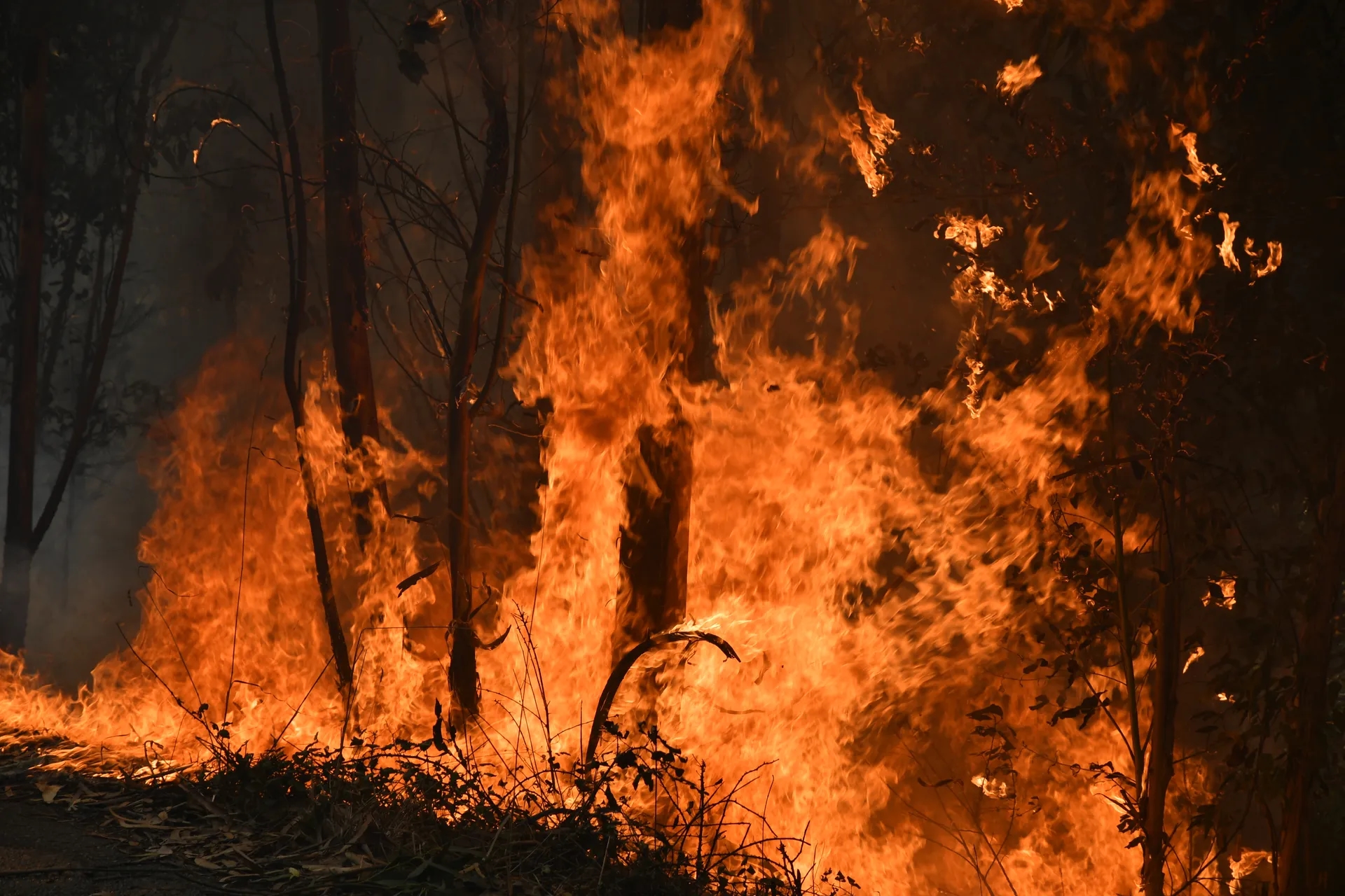 La gestione e la prevenzione degli incendi riceveranno 6 milioni di euro di sostegno