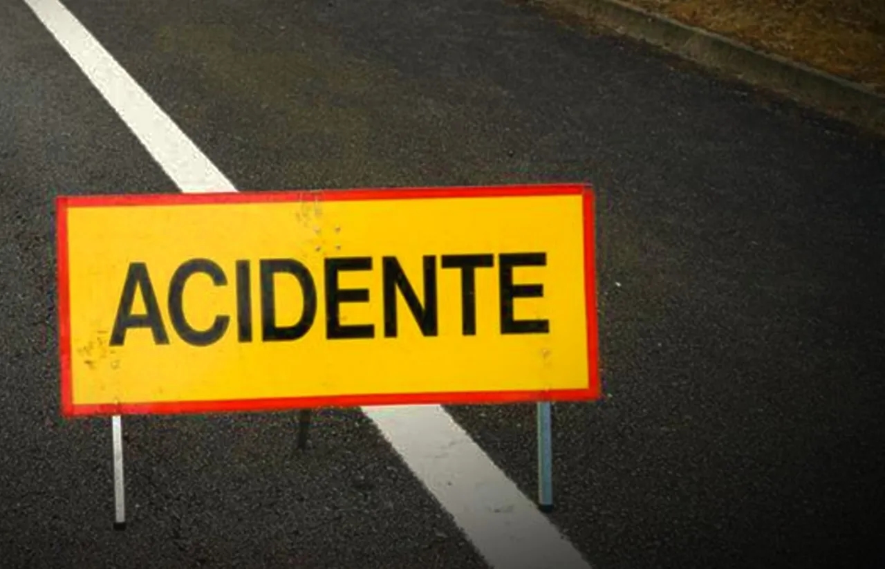 Accident on the A1 in the Mealhada area leaves one dead