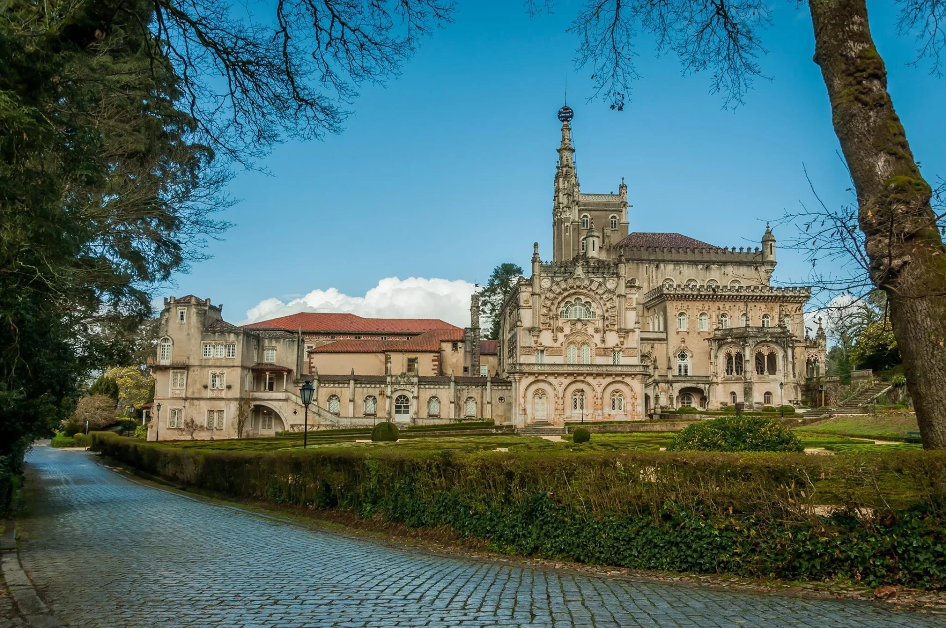 Mata do Bussaco met 500 duizend bezoekers en een positief saldo van 75 duizend euro in 2024