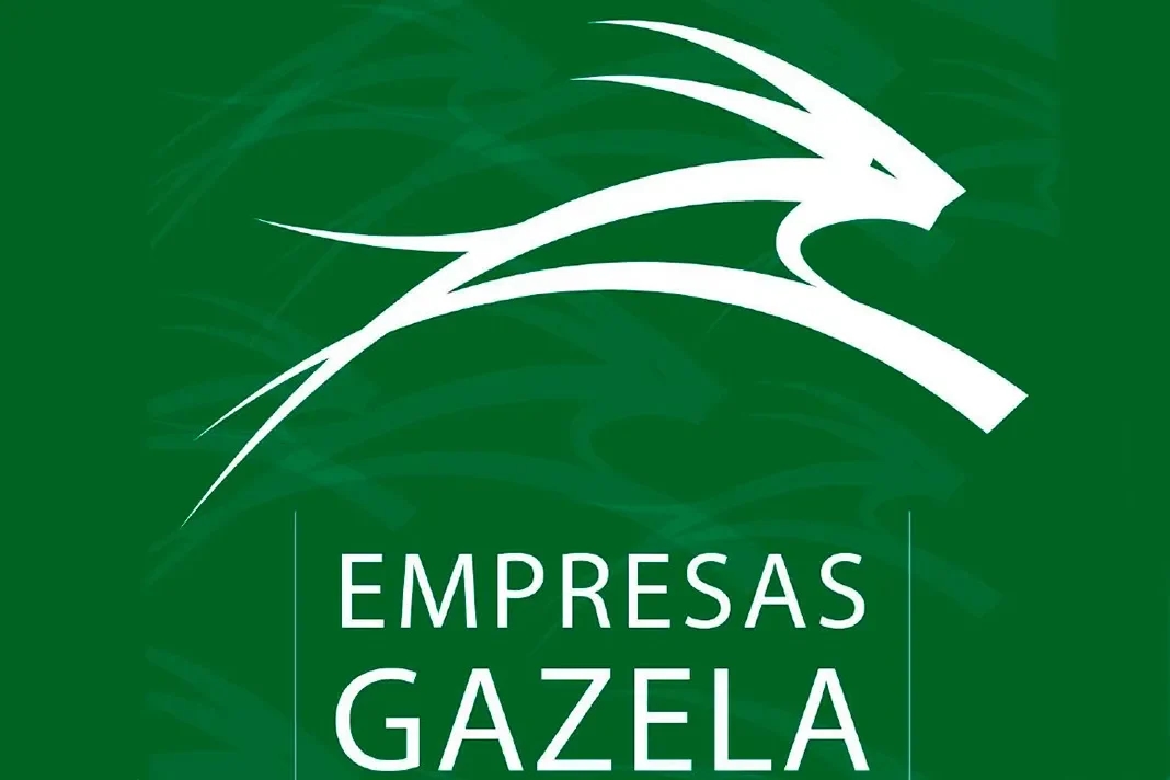 La región de Aveiro lidera el ranking de empresas 'gacela' del centro del país