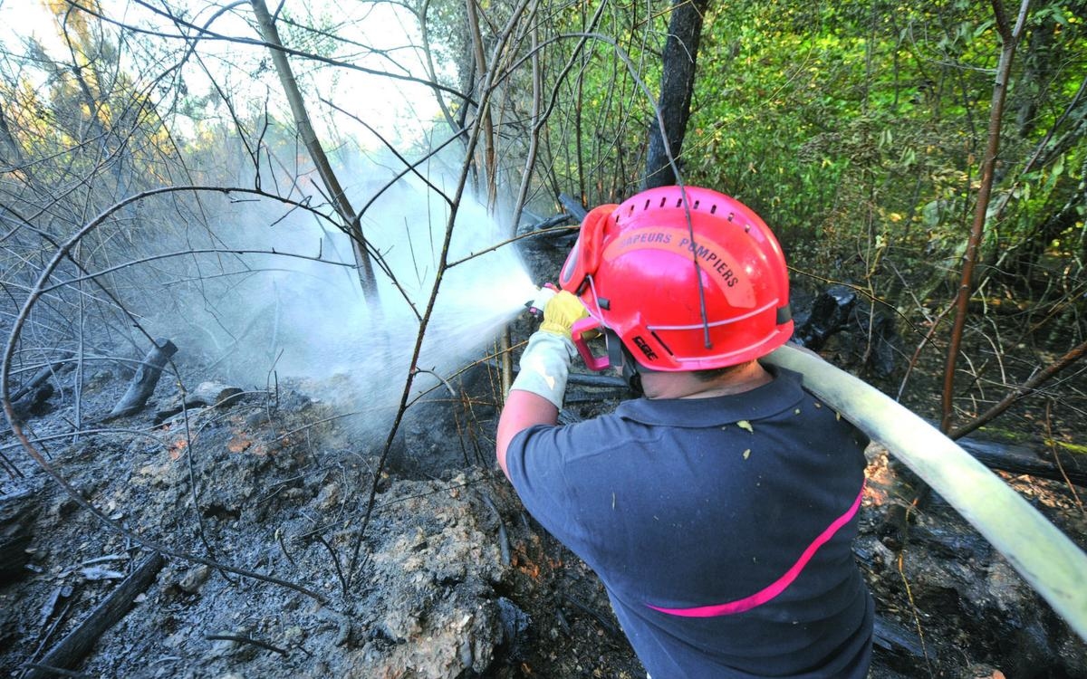 Dordogne: Dziesięć hektarów roślinności zniszczone przez płomienie
