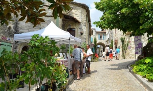 Saint-Christol-lez-Alès (30): a 23-year-old man killed by several gunshots in his vehicle