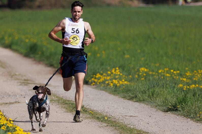 Trekken is toegestaan als uitzondering: Rennen met de hond: Zo werkt Canicross