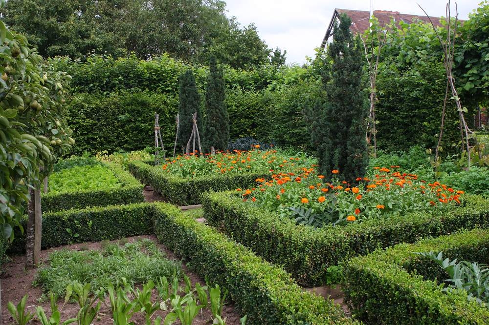 Le 13 siepi sempreverdi più belle per il tuo giardino