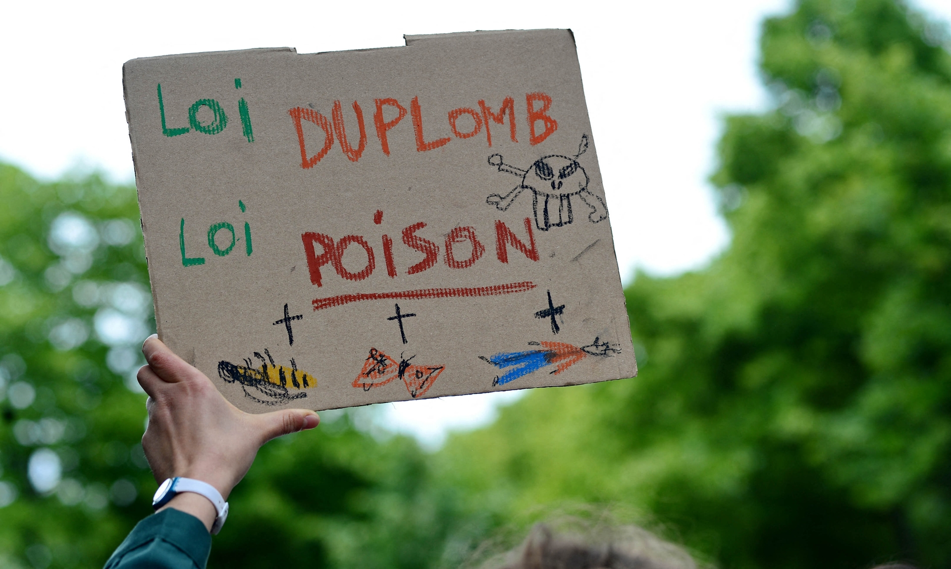 Lei Duplomb: em comissão conjunta, RN e Macronistas de mãos dadas para reconhecer retrocessos ecológicos