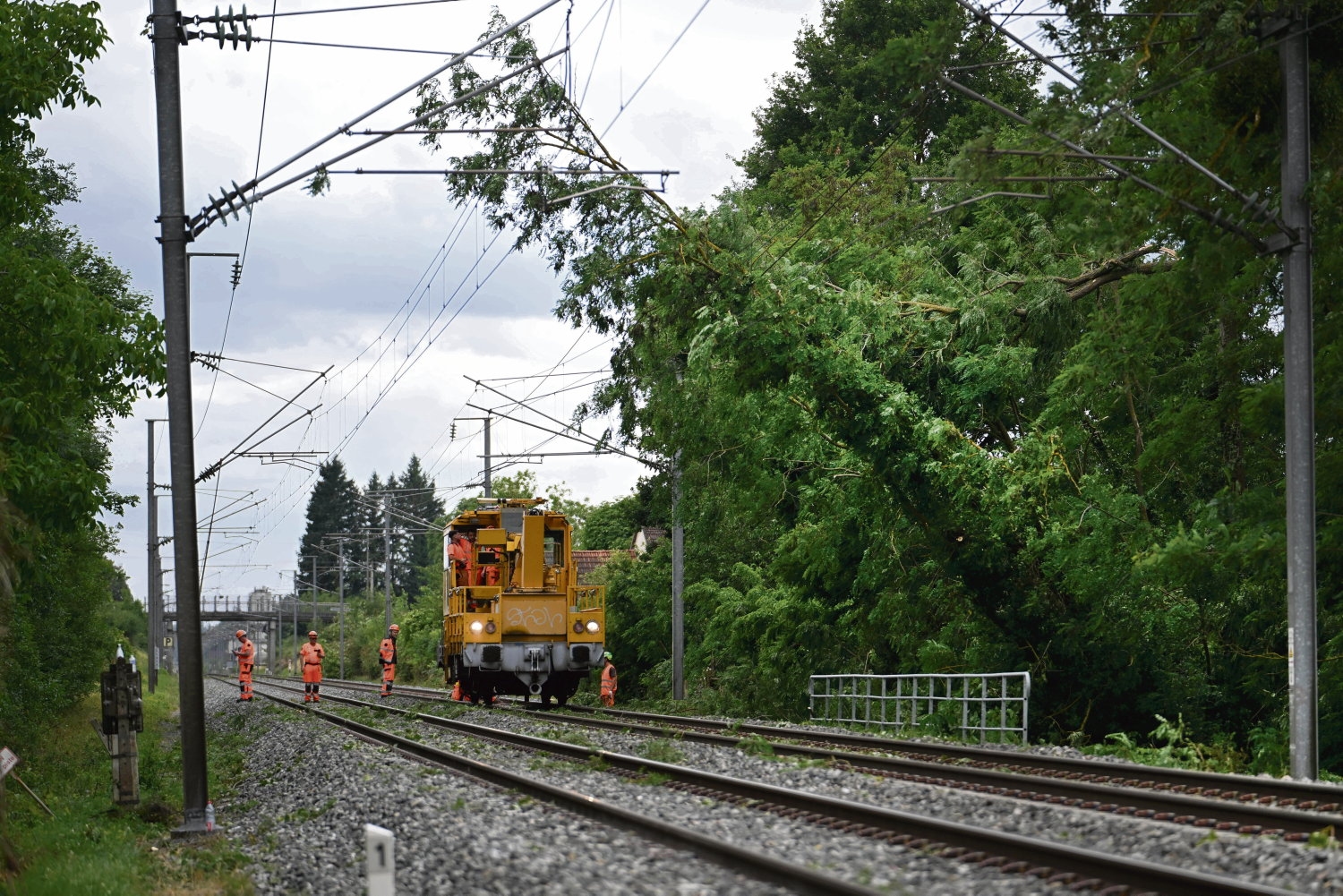 Ola de calor, inundaciones, tormentas… ¿Cómo se adapta la SNCF al calentamiento global?