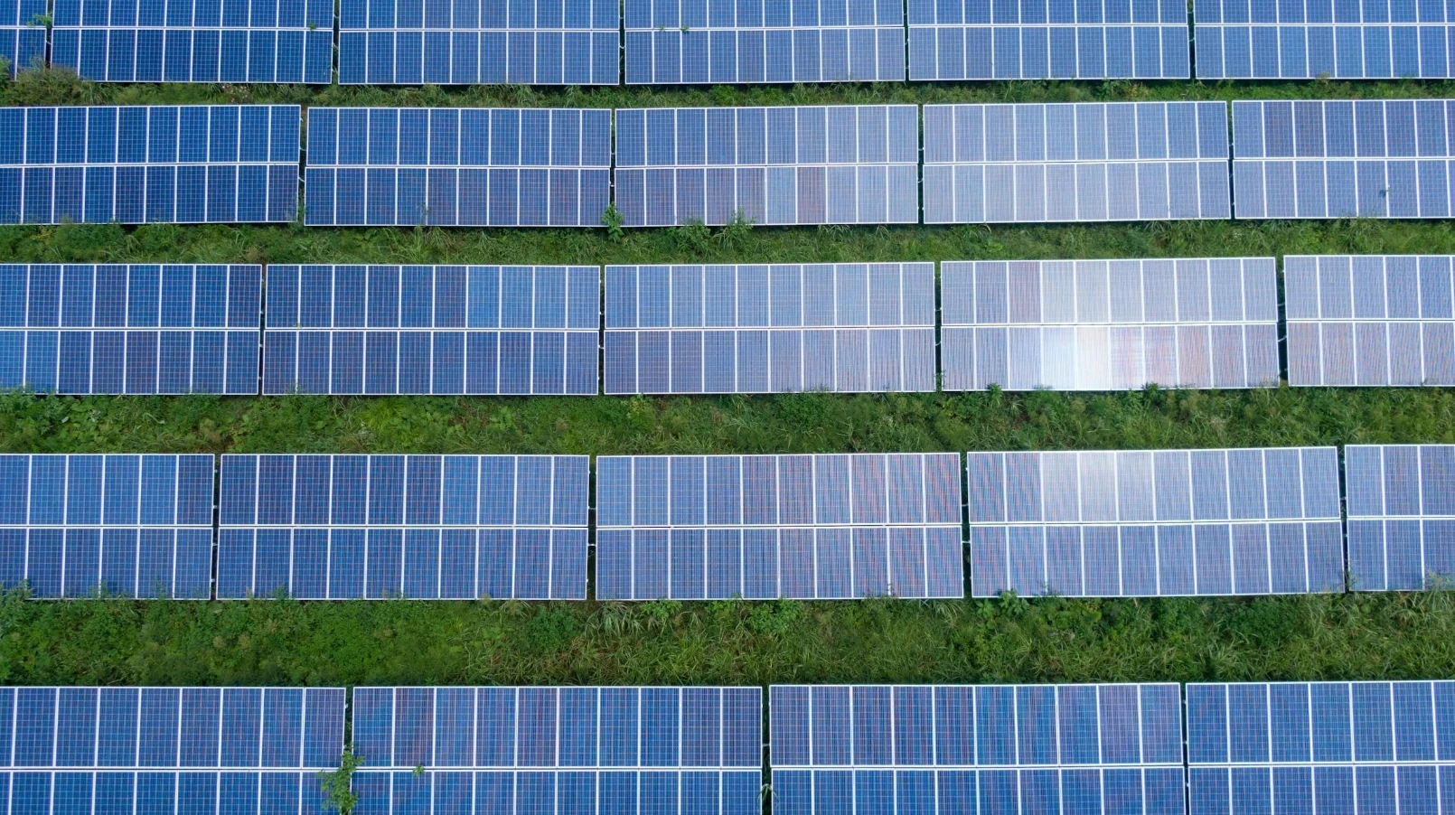 Solar Power Leads Clean Energy Growth