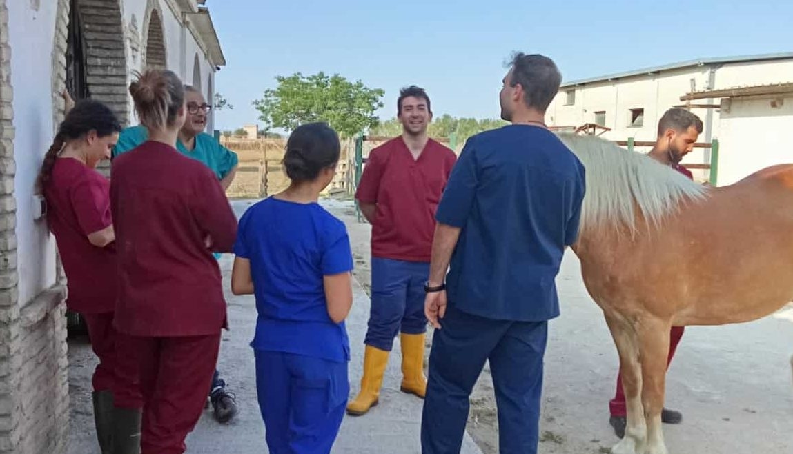 Veterinerlik öğrencileri Emmaus'un atları arasında at hekimliğini ve karşılaşmanın değerini deneyimliyorlar