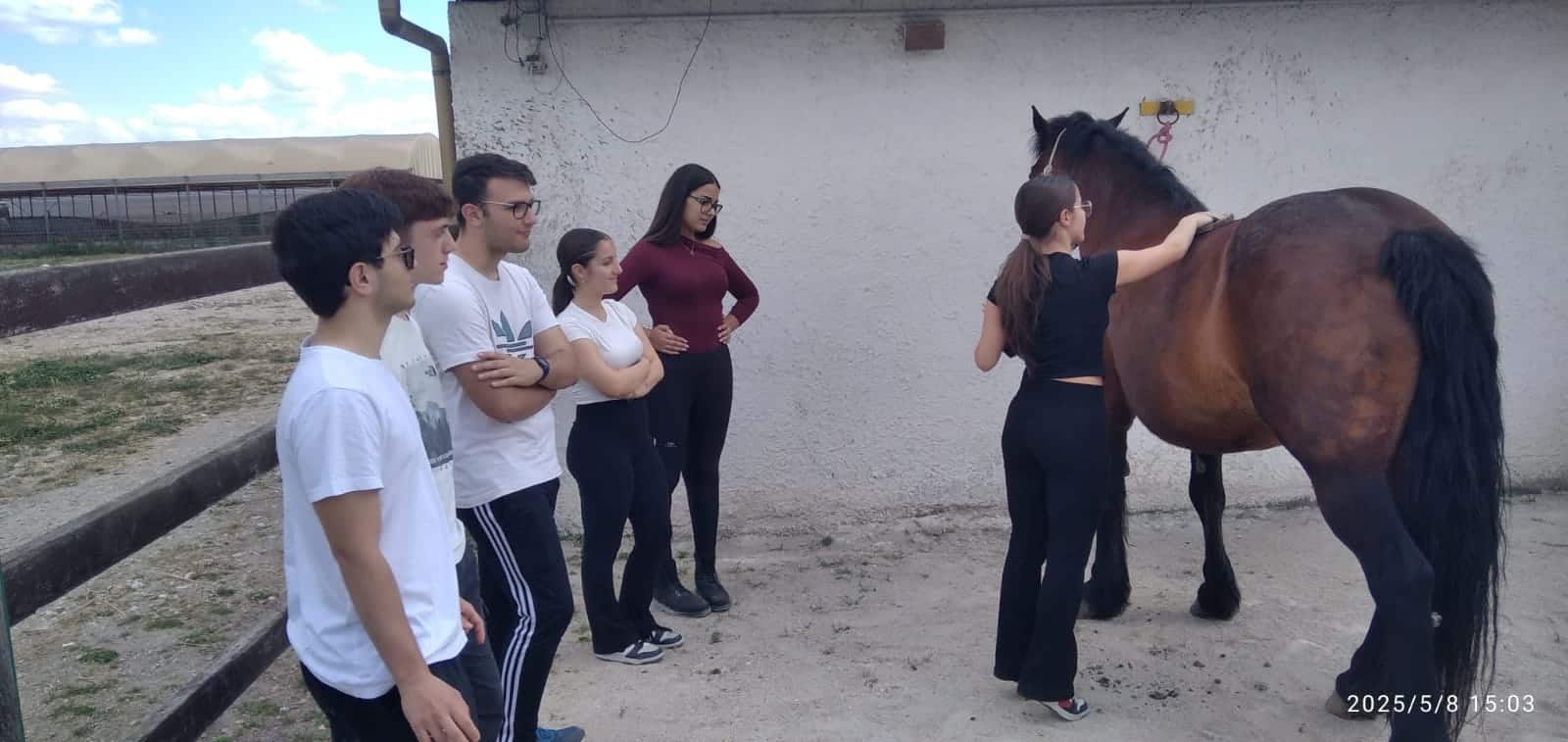 Kaygıları, güvensizlikleri ve korkuları yenmek için Emmaus kooperatifinde binicilik. Volta Lisesi'nin binicilik kursları