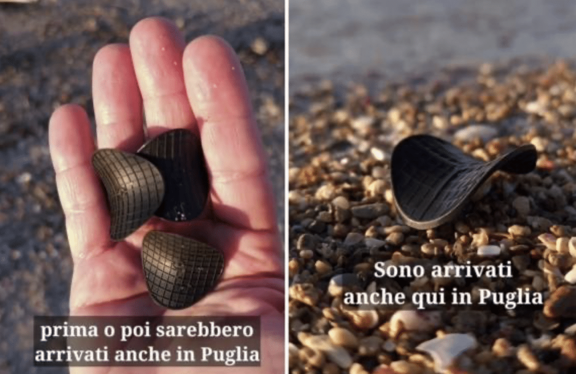 Puglia invasa dai dischetti neri: l’allarme ambientale parte dall’Adriatico e arriva sulle nostre spiagge