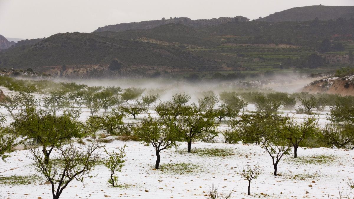 Maltempo, maggiore insicurezza alimentare