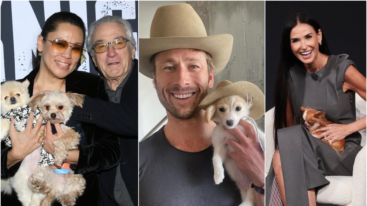 From Robert De Niro to Glen Powell: Celebrities Celebrate World Take Your Dog to Work Day