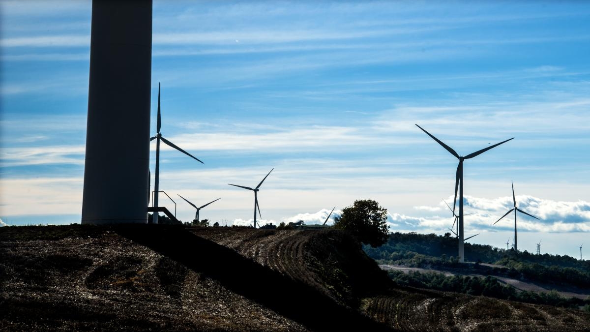 Yenilenebilir enerji sektörü, Generalitat kararnamesinin engellenmesine tepki gösteriyor.