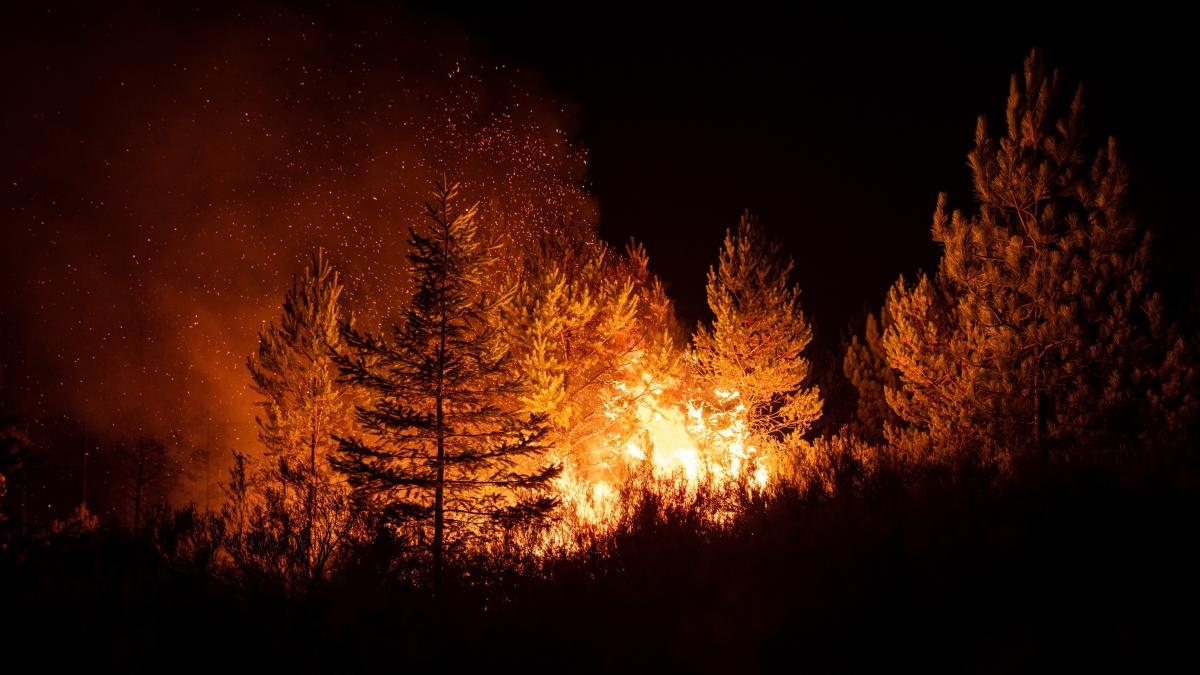 Flammen zum Löschen von Flammen