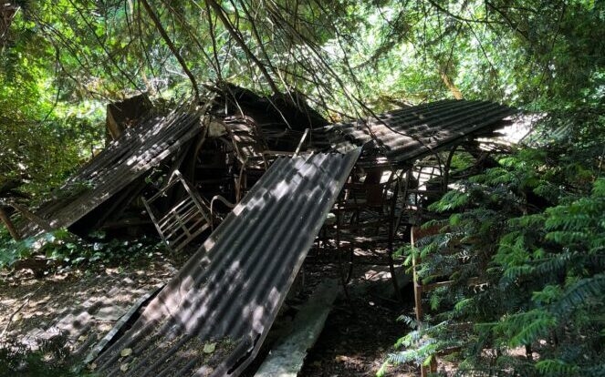 „Eine wilde Müllhalde“: LR Romain Billard warnt vor der mysteriösen Verschmutzung einer Insel im Park Tête d'Or