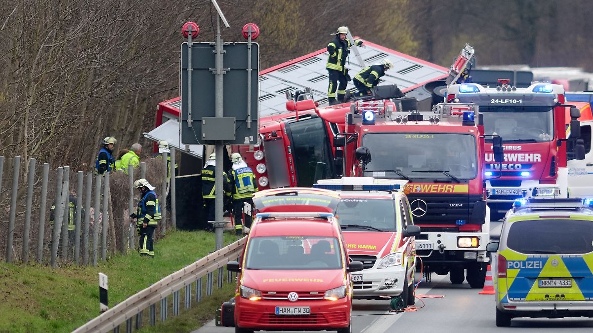 Diversi animali morti dopo l'incidente: i maiali scappano dal trasporto animali ribaltato sulla A2