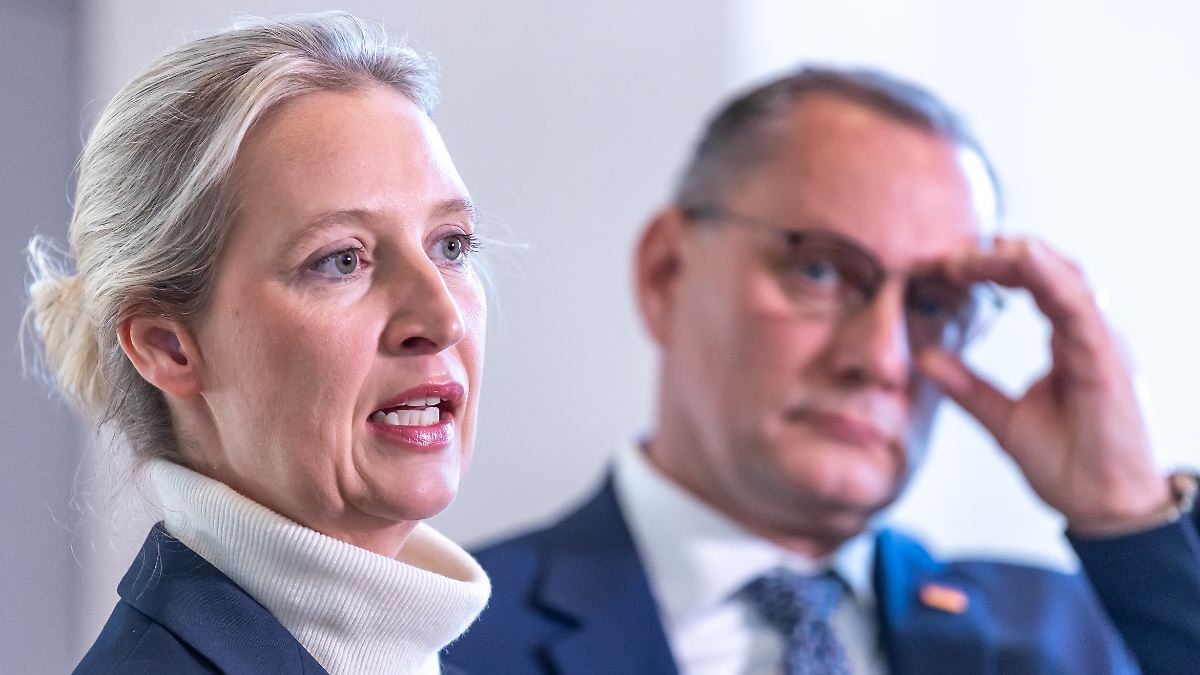 Ondanks kritiek op de idiotenzaak: Weidel dient ook strafaanklacht in wegens belediging