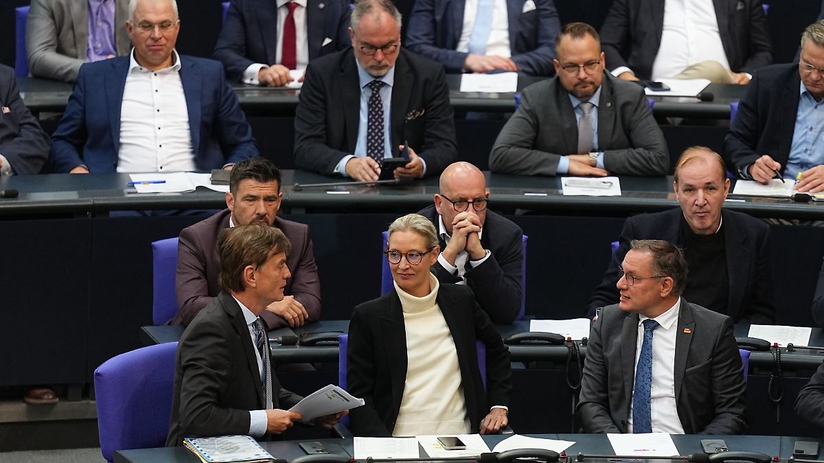 Allontanarsi dal muro: diversi politici dell'Unione chiedono un cambio di rotta nei rapporti con l'AfD
