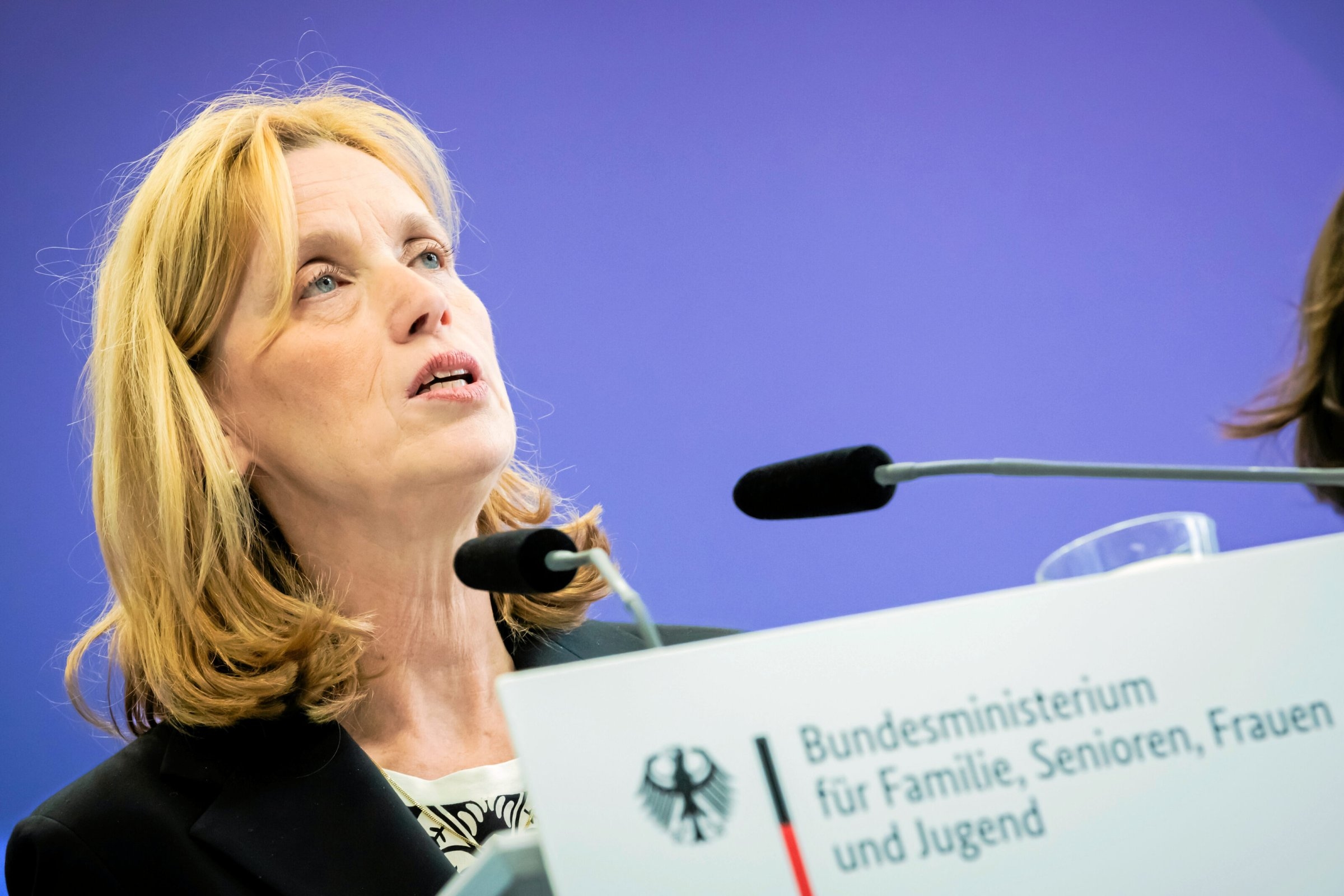 Ministry allocation | Ministry of Education: Karin Prien finally restructures
