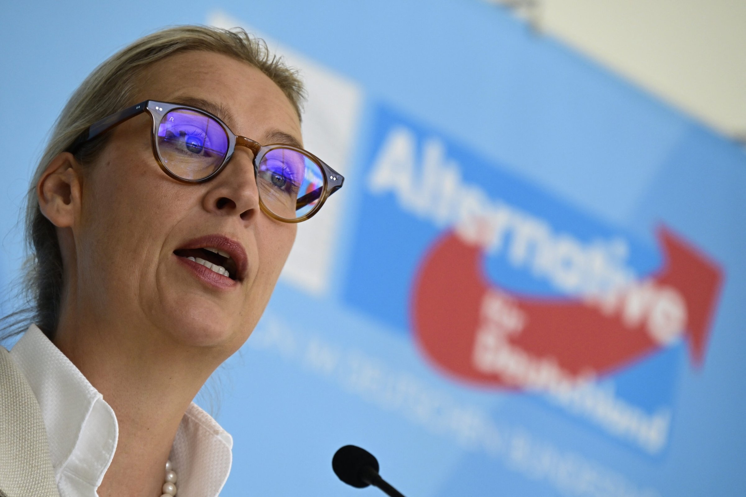 Alternative for Germany | AfD: More "centre", less danger of ban