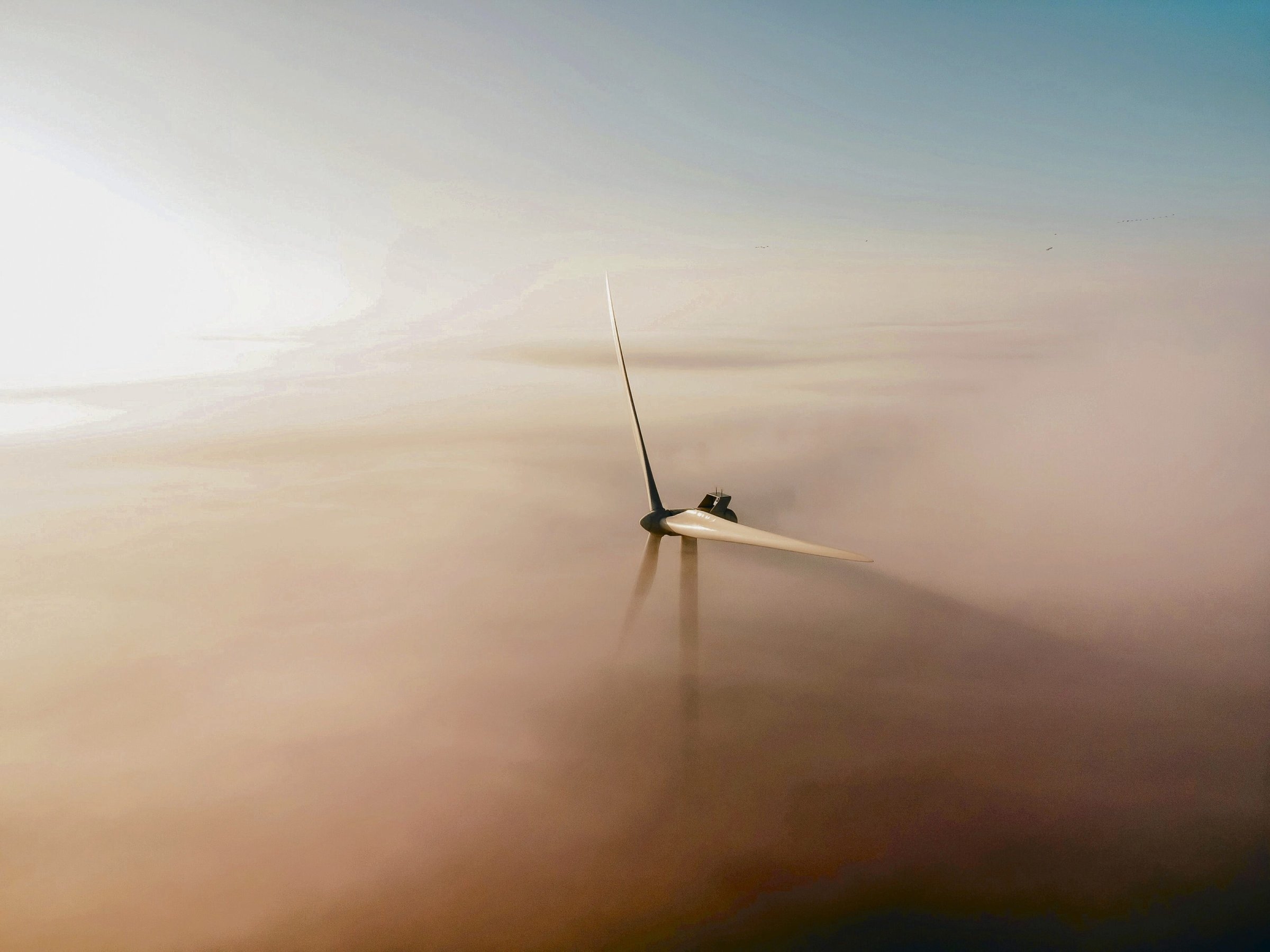 Energia eolica | Un anno eolico a portata di mano
