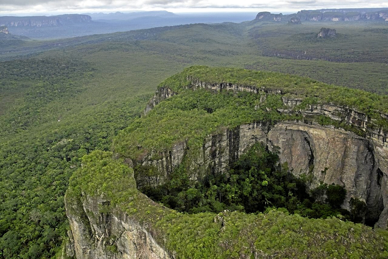 Фонд сохранения тропических лесов | Тропические леса получат собственный механизм финансирования