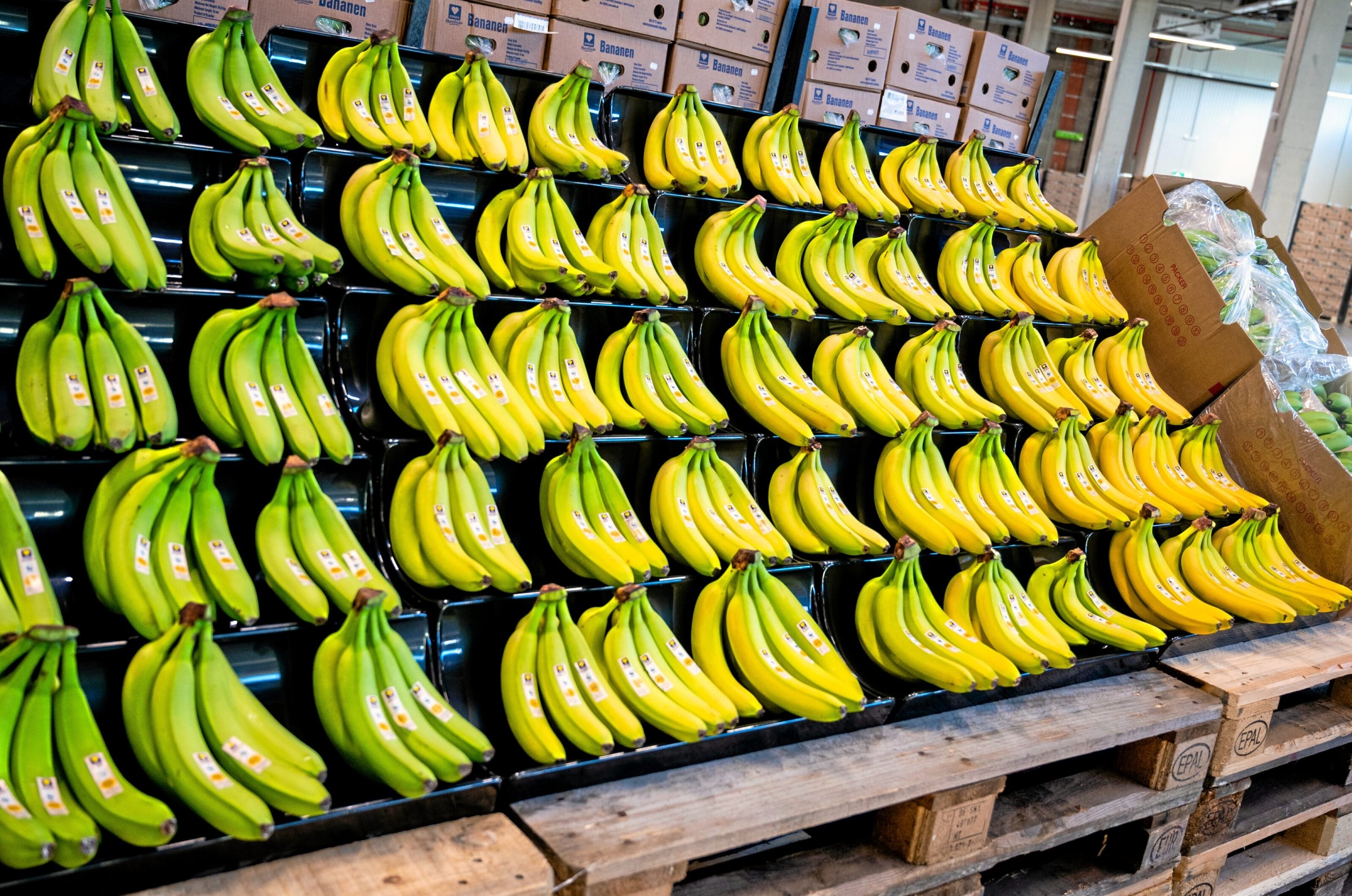 Labor law violations | Costa Rica: Success through supply chain law