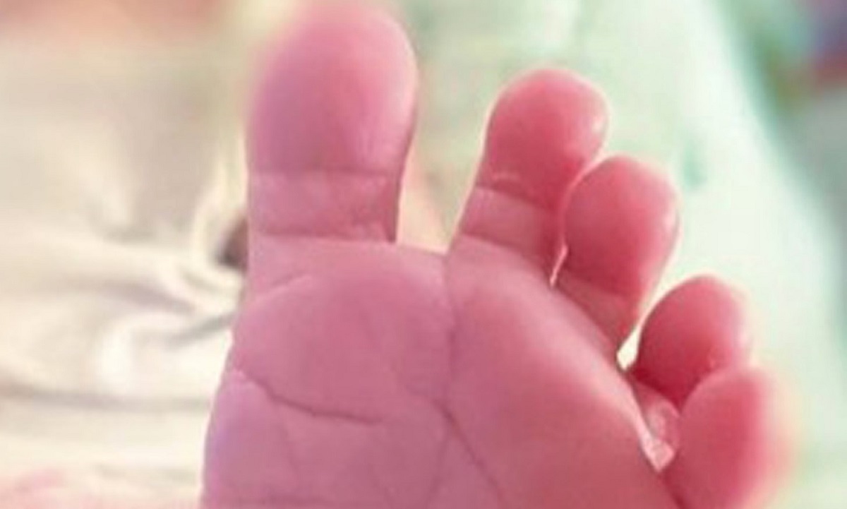 Michele Emiliano, governor of Puglia, will become a father at 66: the announcement