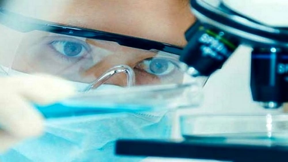 Unipd gibisi yok: Advanced Grants sayesinde dört araştırmacıya 11,5 milyon avro