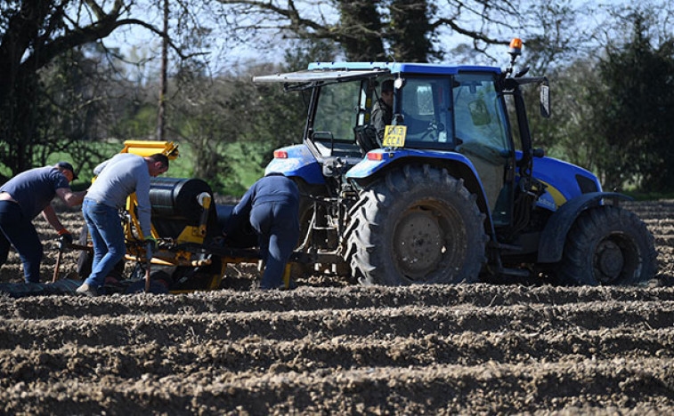Il residuo dell'intellighenzia, consacrato dagli inglesi, è dannoso e precisamente sbilanciato verso le mucche