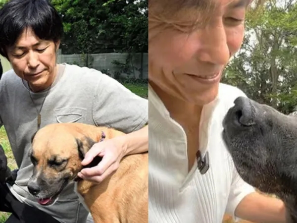 Heartwarming: Dog saved him from depression, sold his Ferrari, and opened a shelter