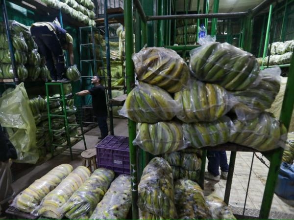 'Görünürde bir sorun daha var': Enflasyonun hedef aralığında kapanma olasılığı düşük
