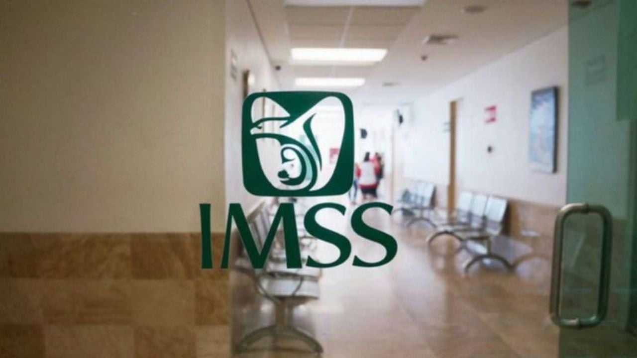 Offerte sospette all'IMSS Veracruz, un modello di favoritismo in 14 stati