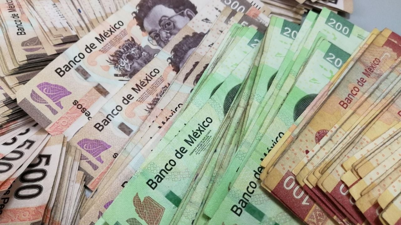 Unemployment support in Edomex: Receive up to 15,000 pesos if you lost your job.