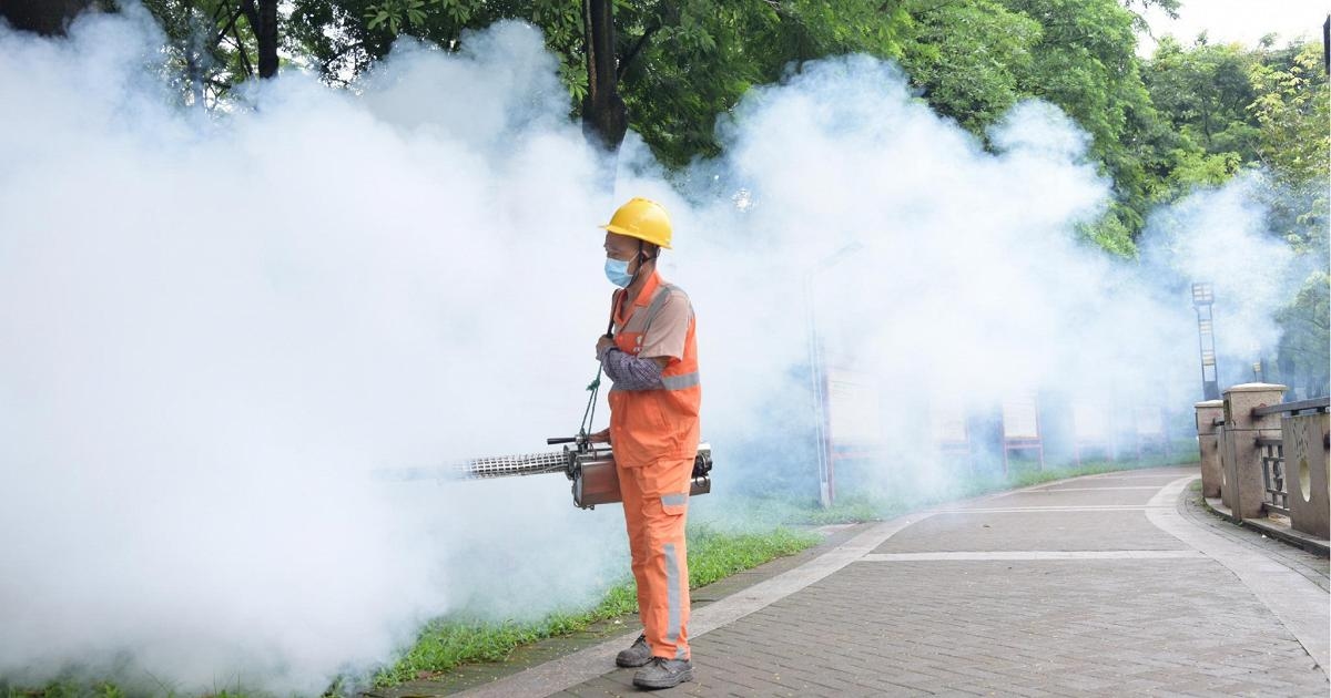 The quarantine nightmare returns to China: the chikungunya virus has already infected 7,000 people. The symptoms