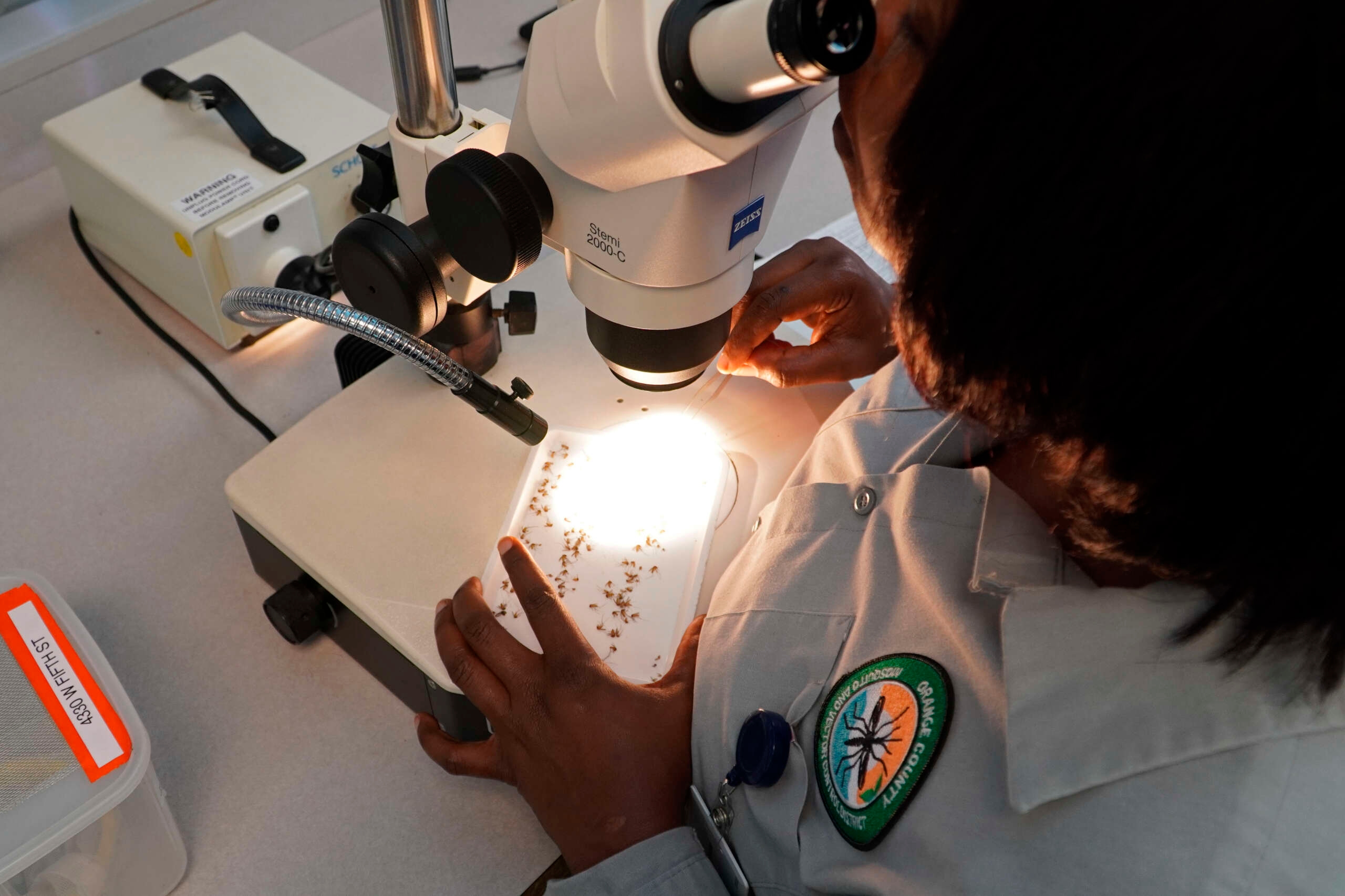 What is West Nile virus: how it is transmitted, symptoms, vaccine, and treatment