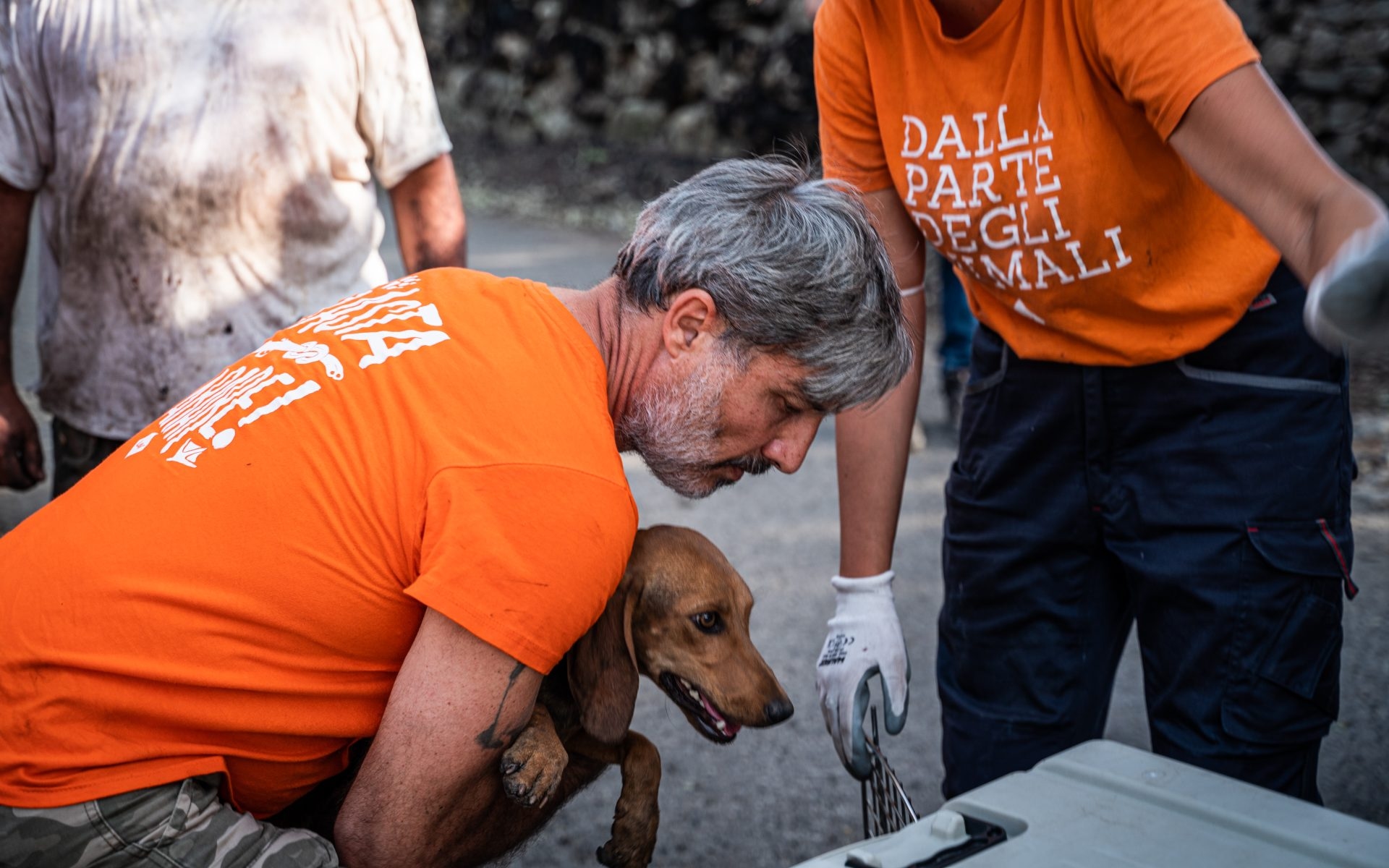 Organized and informal, there is no competition in volunteering: according to Istat