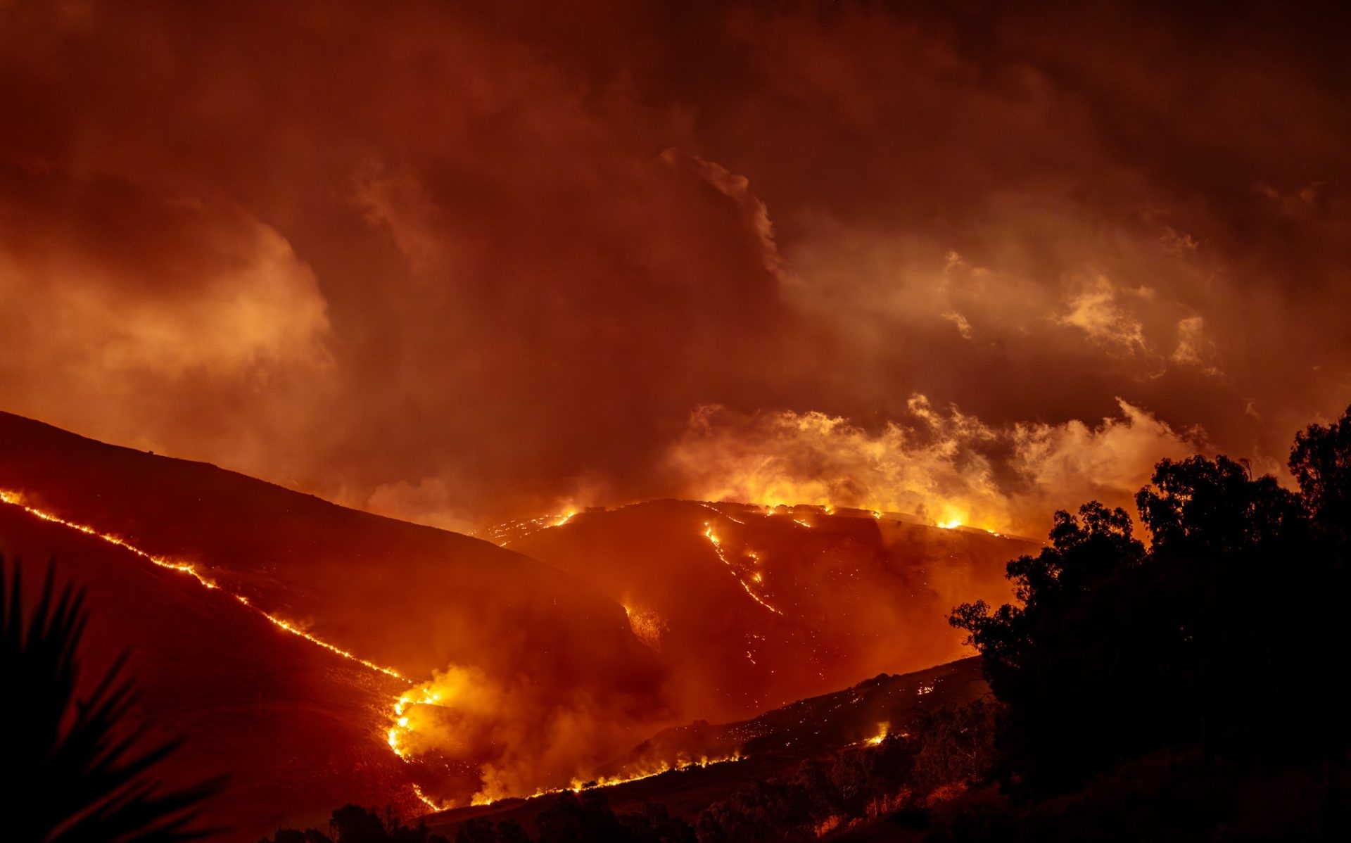 In Sicily, 50 fires a day, but prevention is still lacking.