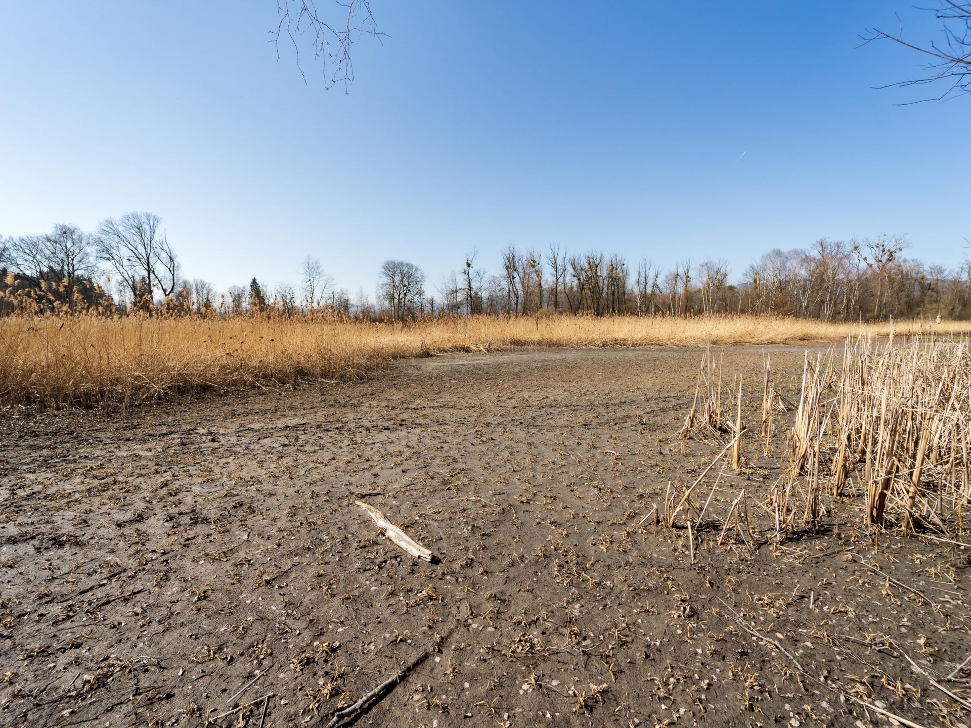 New analysis warns: Vorarlberg's rivers are losing water dramatically