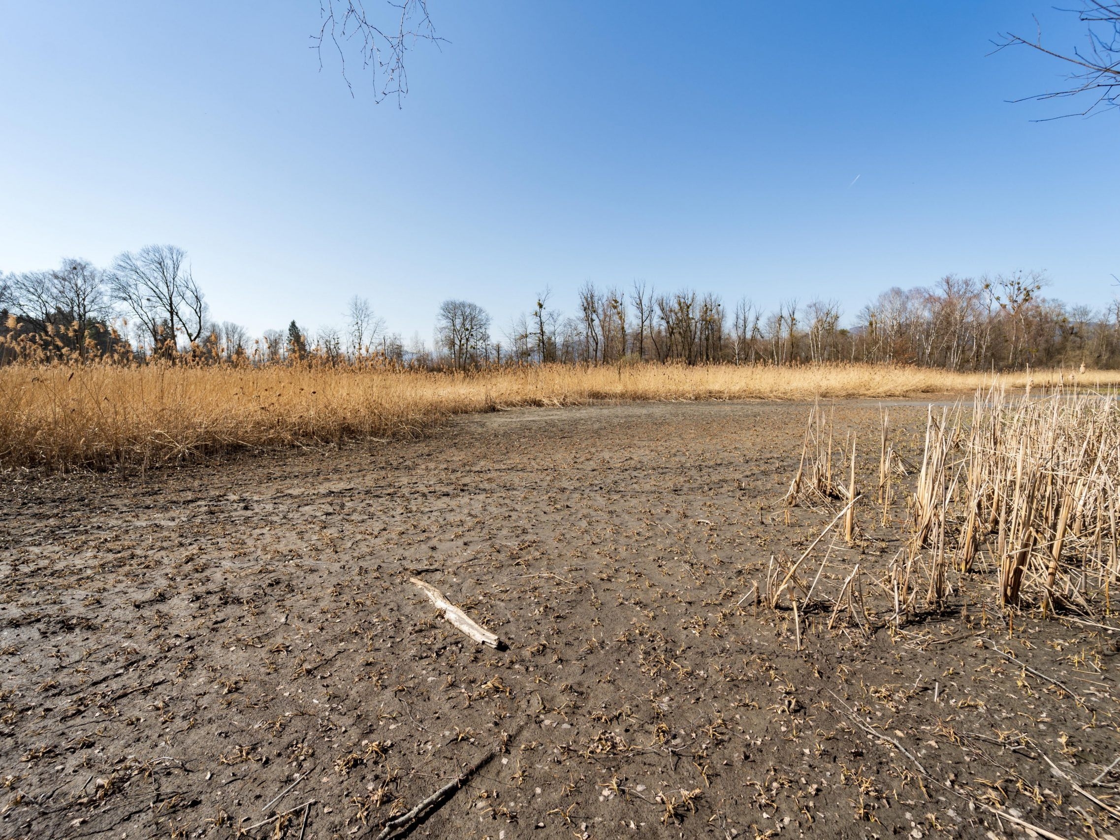New analysis warns: Vorarlberg's rivers are losing water dramatically
