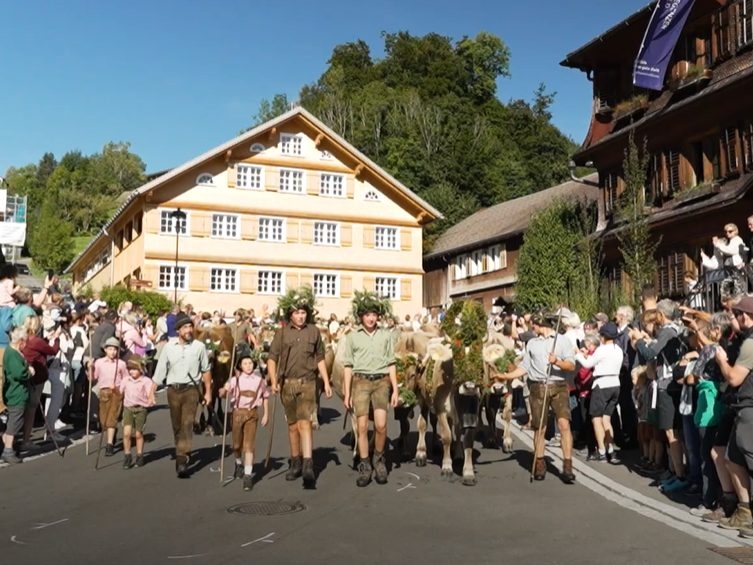 Tradizione in movimento: la transumanza in alpeggio a Schwarzenberg entusiasma grandi e piccini