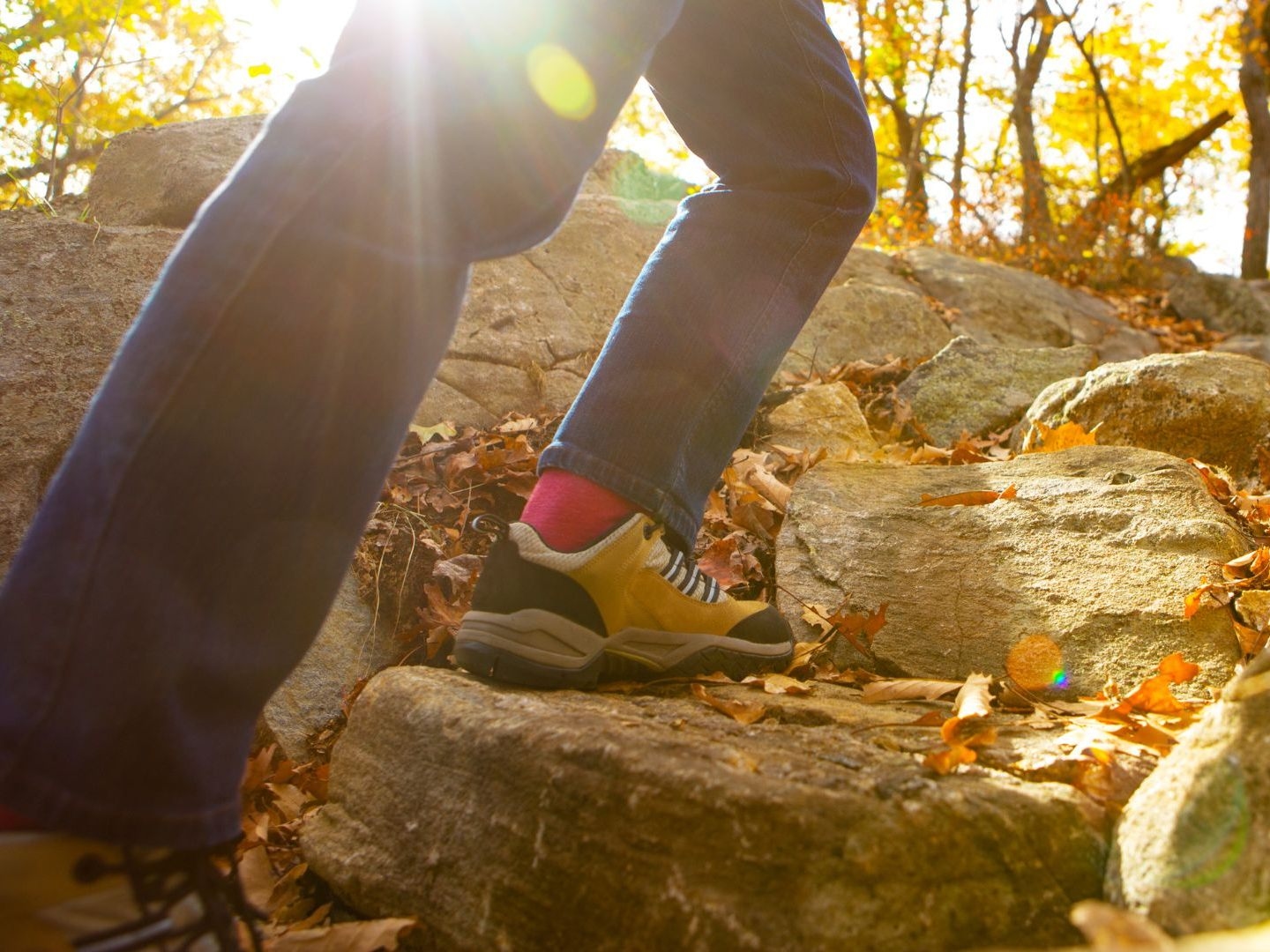 Mountain Rescue Warns: Autumn is peak season for accidents