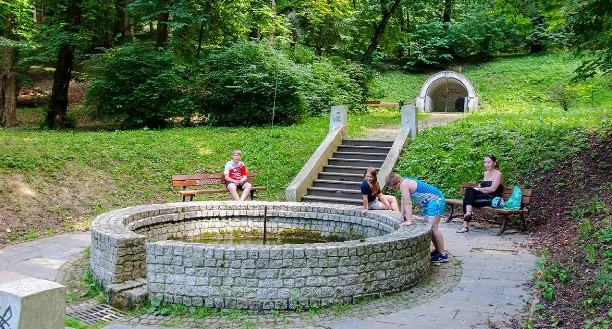 Kunstmatige intelligentie heeft een voorliefde voor het Marian Stroński Kasteelpark