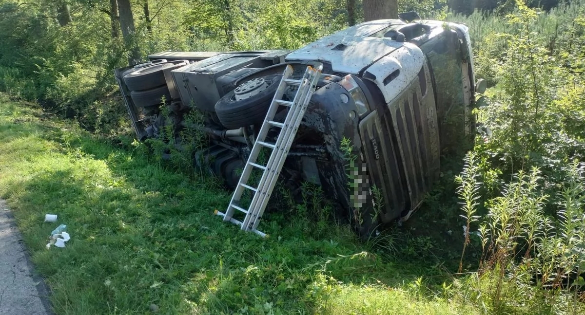 Ele tentou evitar atropelar um veado. Ele caiu em uma vala [FOTOS]