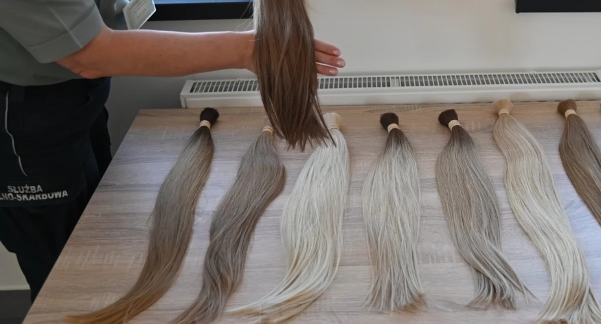 Ele contrabandeou... cabelo para sua caixa de ferramentas.