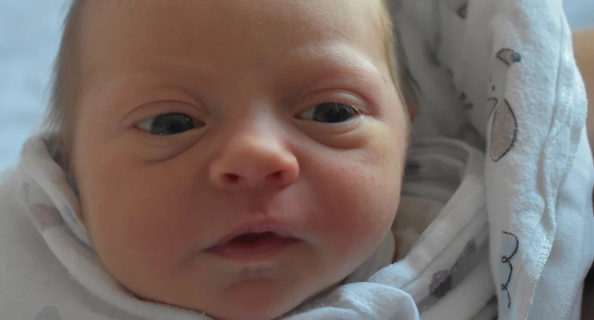 LIFE'S BABIES (babies from the ŻP 38 number from September 17)