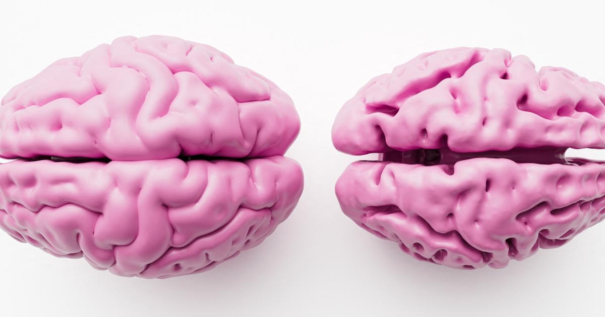 Os cérebros das mulheres encolhem menos rapidamente, mas elas não estão protegidas do Alzheimer.