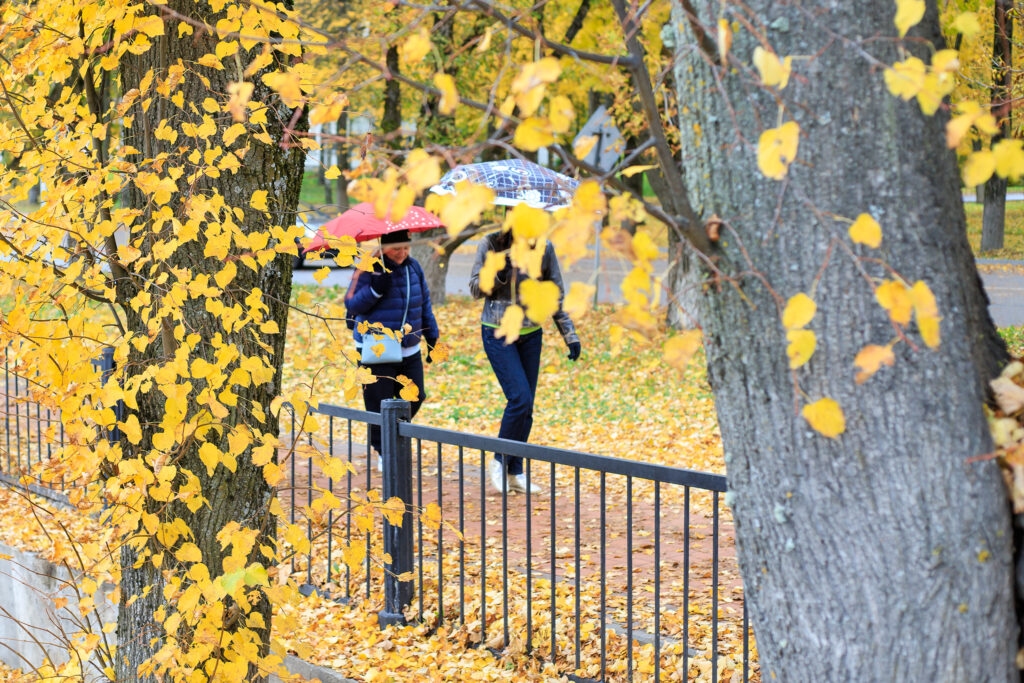Veliky Novgorod, 1967 Kasım ayı sıcaklık rekorunu kırdı